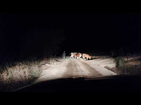 Transalpina Nuseni - intrearea din Nuseni - by night