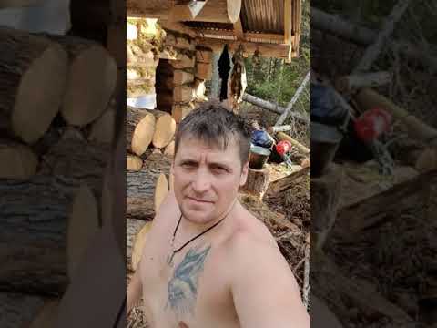 Охота на волка!!!!
