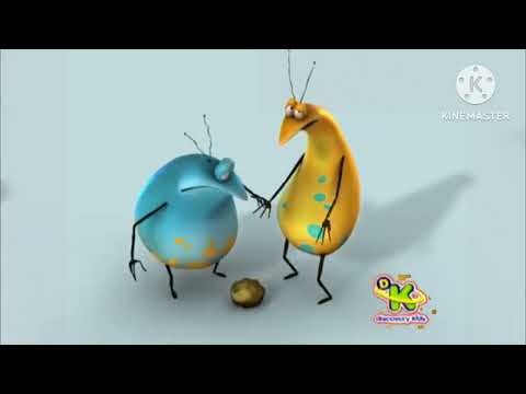erky perky Discovery kids el en español