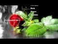 Поздравление Машеньке с Днем Рождения 