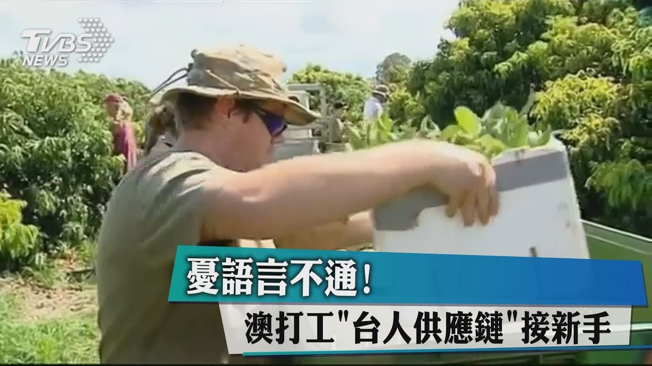憂語言不通! 澳打工「台人供應鏈」接新手