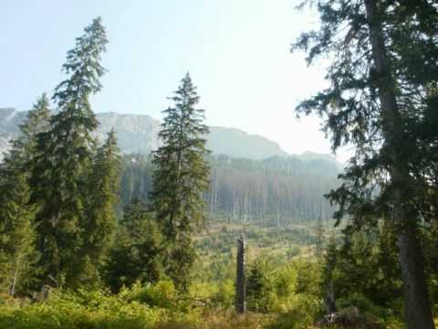 Wyprawa na Hawrań. (06.08.2011r.)