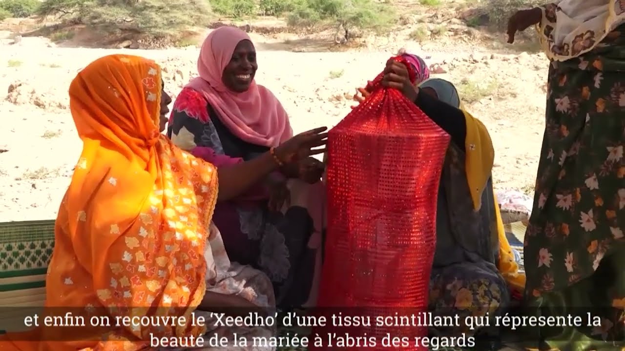 Le Xeedho