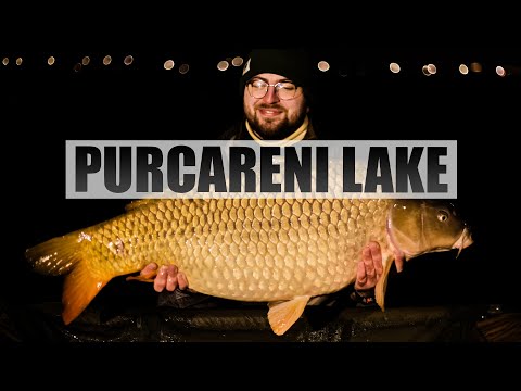 Pescuit pe balastiere noi | Purcareni Lake