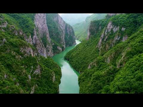 Calm Piano Music - Forests from Above Drone Shots