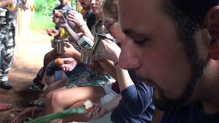 Nawal "Swing Ta Vie" - Comores