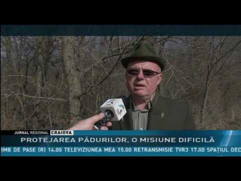 PROTEJAREA PĂDURILOR, O MISIUNE DIFICILĂ