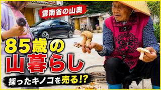 【中国・雲南省】山奥のおばあちゃんの家へ！山で採ったものがお金になる田舎の暮らし
