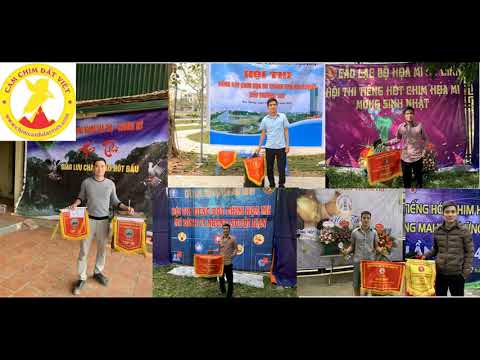 ĐỊA CHỈ - SỐ ĐIỆN THOẠI - STK CỦA "Cám Chim Đất Việt"- 0908070555 / 0944114410 - camchimdatviet.com.