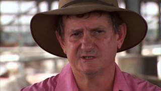 AusBizAsia looks at Elders Australian cattle exports in Indonesia, Australia Plus