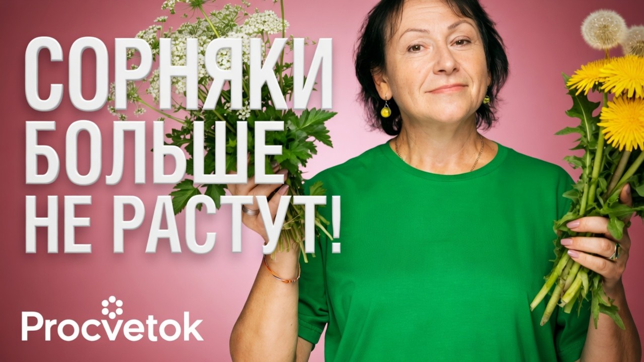 КАК ПОБЕДИТЬ СНЫТЬ, ПЫРЕЙ И ОДУВАНЧИКИ? 4 работающих способа