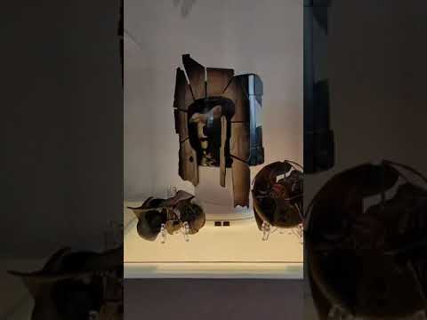 Panzer Dragoon Saga mod of the Sega Saturn by Mako Modding