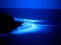 Amy Macdonald - Spark (Tom Middleton Remix ...