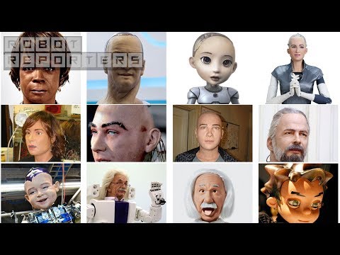 Albert HUBO Review Video 3