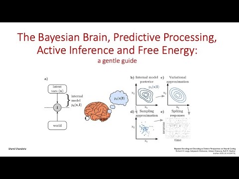 The Free Energy Principle and predictive processing