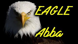 ABBA - &quot;EAGLE&quot; (HD - tradução português)