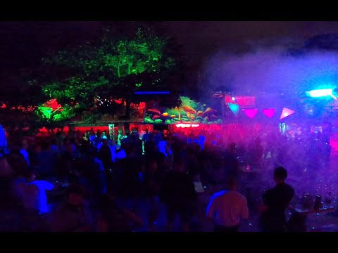 Phoenix Movement live from Makalali Beach, Rave Together