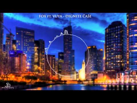 FOX x VUYA - Dignite case