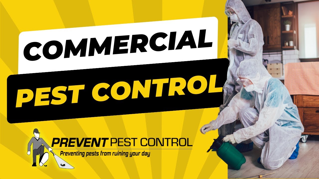 What Does Commercial Pest Control Entail