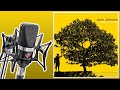 Banana Pancakes Jack Johnson Only Vocals Isolated Acapella