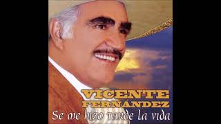 Pista-Estaba lloviendo fuerte-Vicente Fernandez