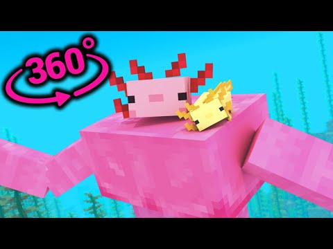 360° Video || Axolotl Life - Minecraft VR