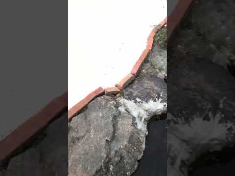 鳥の好きな色は何ですか?巣箱に使うのはどれでしょうか？羽の生えた鳥を惹きつける7つの色合いをご紹介します。  庭園