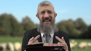 מסכת בבא קמא דף סז  - 8 דקות של לומדות ועמקות בדרך הלימוד הישיבתית [bava kamma 67]