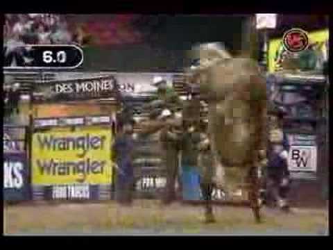 Renato Numes Vs. Jacob's Pet