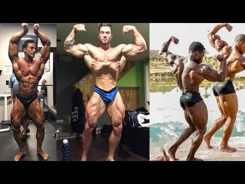 Mr Olympia Classic Physique Qualified 2017 - Fitness & Bodybuilding Motivation