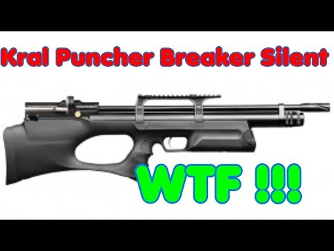 Kral Puncher Breaker Silent .22 - 30 day review - Pelletonix