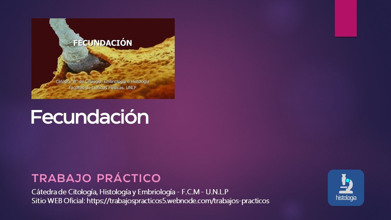 FECUNDACIÓN - TRABAJO PRÁCTICO
