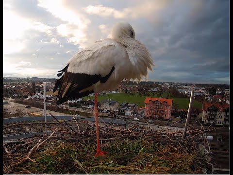 Freilassing Station live cam