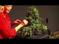 From the Archives: Deck the Halls 2024