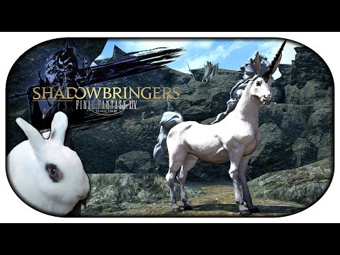 FINAL FANTASY XIV 🐇 42 - Gehilfen, Einhörner und Jobkristalle