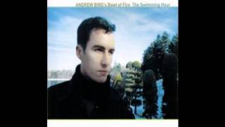 Andrew Bird&#39;s Bowl of Fire - Case In Point