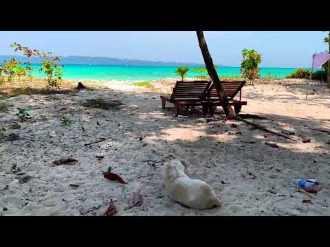 Unexplored beach | Havelock Island | Andaman and Nicobar | Travel with Divyang