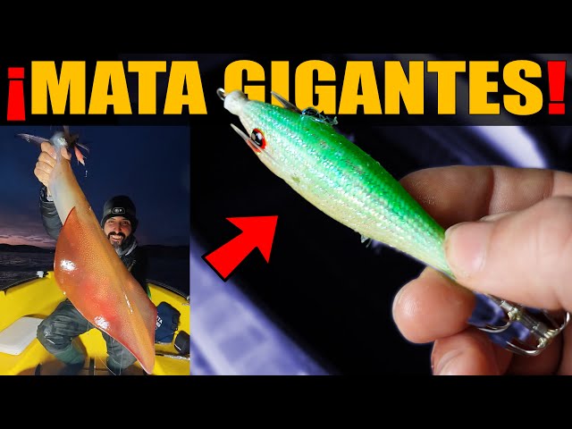 Vídeo relacionado con HERCHR Señuelos de Camarones, Cebo Duradero para Señuelos de Pesca de Calamar Cebo de Plástico Luminoso de 4 Piezas Cebo de Calamar para Camarones, Calamares, Pesca Nocturna, Agua Dulce y Salada