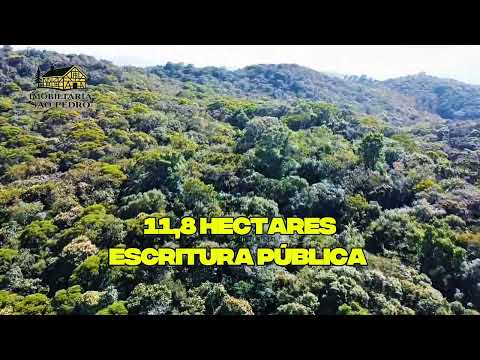 TERRENO RURAL COM 11,8 HECTARES – NATUREZA, ÁGUA E PRIVACIDADE EM SÃO PEDRO DE ALCÂNTARA - Vídeo