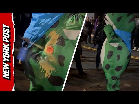 ICE Agents Shoot Pepper Spray into Protester's Frog Costume Air Vent
