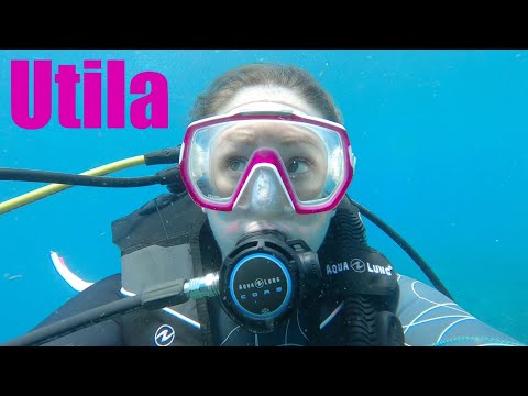Dive Trip to Utila, Honduras Part 1