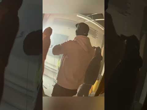 HIGH THOUGHTS MUSIC TOUR WEEK 1