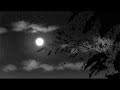 Beach House Master Of None Instrumental Version