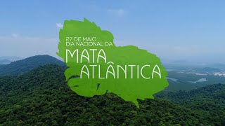 Miniatura do vídeo