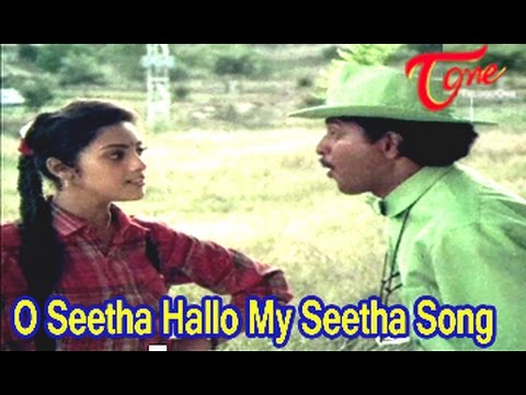 Seetharamaiah Gari Manavaralu Songs | O Seetha Hallo Song | ANR | Meena