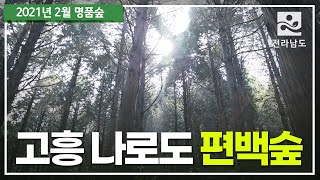 [2월 명품숲]고흥 나로도 편백숲 l 전국에서 가장 오래된 편백 인공림 l  2021년 방문해야 할 명품 숲