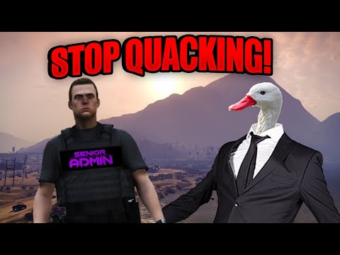 Admins HATED this Duck (Ft. Trippy & IcyDeluxe) | GTA RP