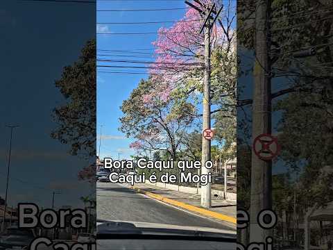 Bora Caquí!!!!! Parabéns Mogi!!!