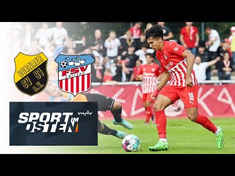 Zwickau in Borna in Torlaune | Sport im Osten | MDR