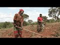 Abaibori Bane Andrew Gitenyi And Mabundu Jazz Band
